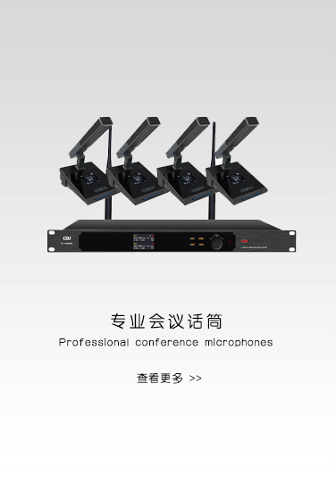 专业会议话筒